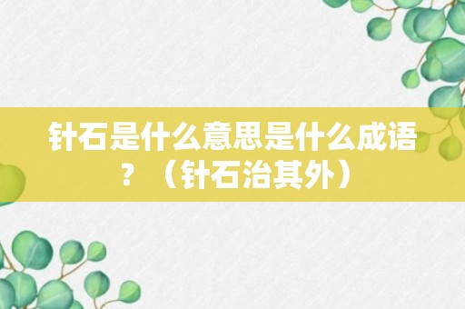 针石是什么意思是什么成语？（针石治其外）