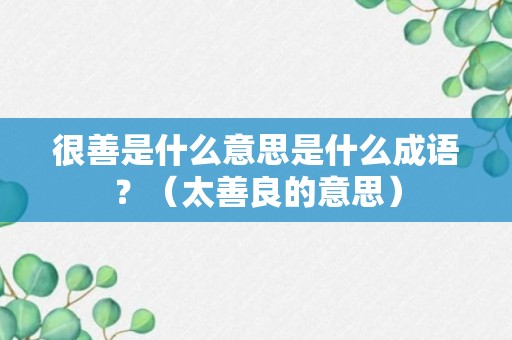 很善是什么意思是什么成语？（太善良的意思）