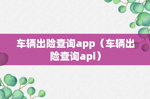 车辆出险查询app（车辆出险查询api）