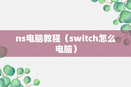 ns电脑教程（switch怎么电脑）