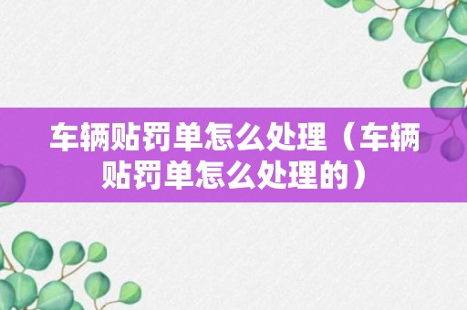 车辆贴罚单怎么处理（车辆贴罚单怎么处理的）