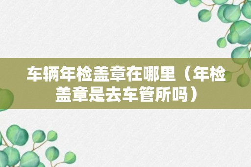 车辆年检盖章在哪里（年检盖章是去车管所吗）