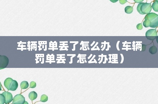 车辆罚单丢了怎么办（车辆罚单丢了怎么办理）