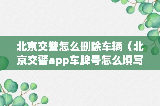 北京交警怎么删除车辆（北京交警app车牌号怎么填写）