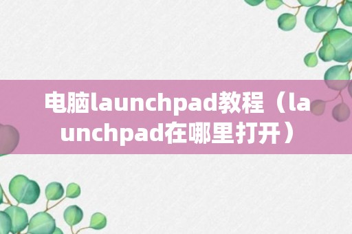 电脑launchpad教程（launchpad在哪里打开）