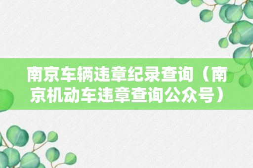 南京车辆违章纪录查询（南京机动车违章查询公众号）