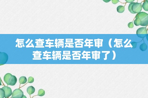 怎么查车辆是否年审（怎么查车辆是否年审了）