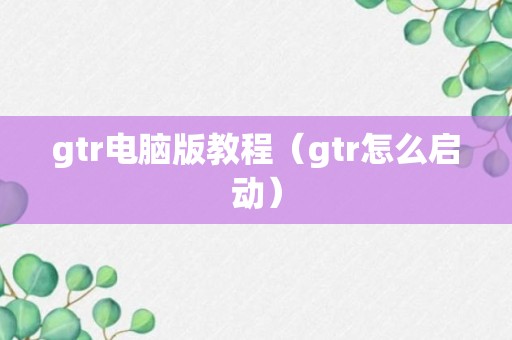 gtr电脑版教程（gtr怎么启动）