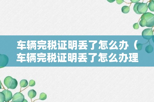 车辆完税证明丢了怎么办（车辆完税证明丢了怎么办理）