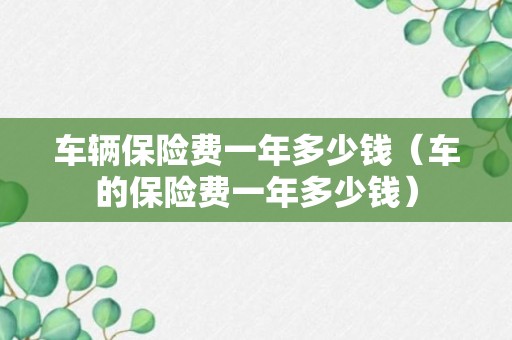 车辆保险费一年多少钱（车的保险费一年多少钱）