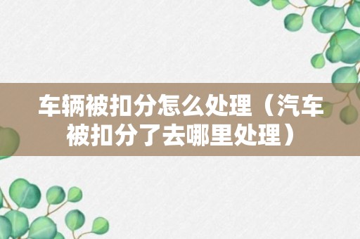 车辆被扣分怎么处理（汽车被扣分了去哪里处理）