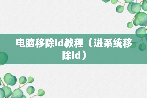 电脑移除id教程（进系统移除id）