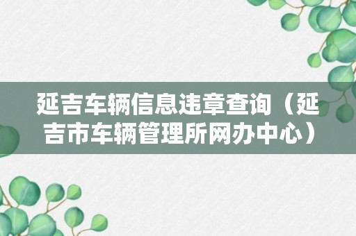 延吉车辆信息违章查询（延吉市车辆管理所网办中心）