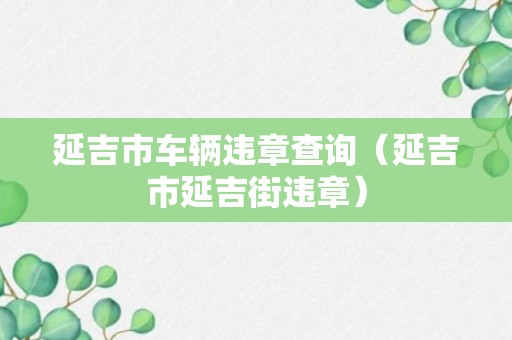 延吉市车辆违章查询（延吉市延吉街违章）