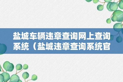 盐城车辆违章查询网上查询系统（盐城违章查询系统官方网站）