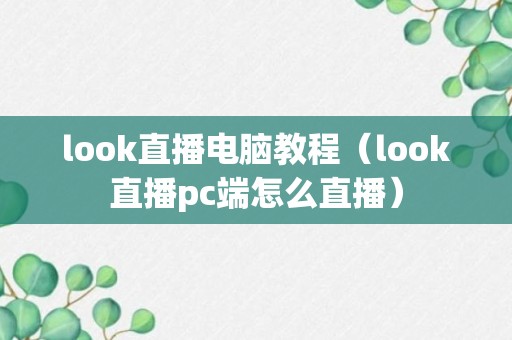 look直播电脑教程（look直播pc端怎么直播）