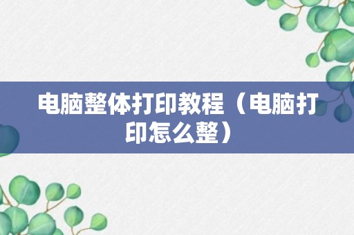 电脑整体打印教程（电脑打印怎么整）