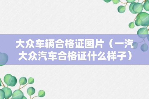 大众车辆合格证图片（一汽大众汽车合格证什么样子）