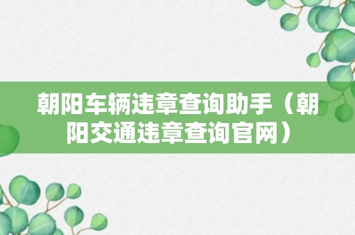 朝阳车辆违章查询助手（朝阳交通违章查询官网）