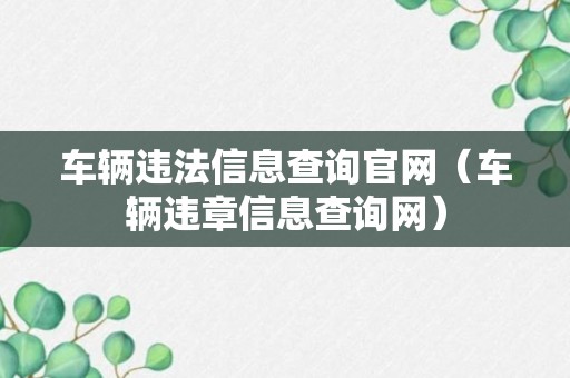 车辆违法信息查询官网（车辆违章信息查询网）