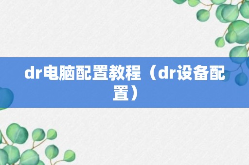 dr电脑配置教程（dr设备配置）