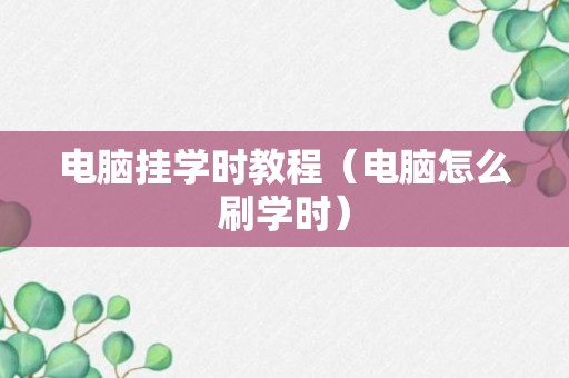 电脑挂学时教程（电脑怎么刷学时）