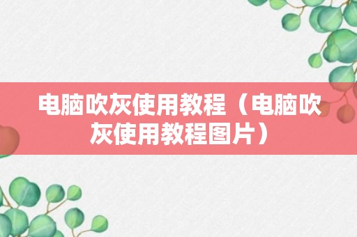 电脑吹灰使用教程（电脑吹灰使用教程图片）