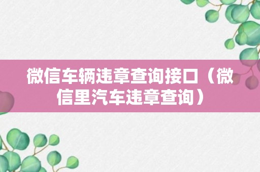 微信车辆违章查询接口（微信里汽车违章查询）