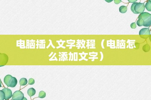 电脑插入文字教程（电脑怎么添加文字）