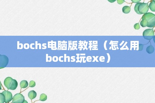 bochs电脑版教程（怎么用bochs玩exe）