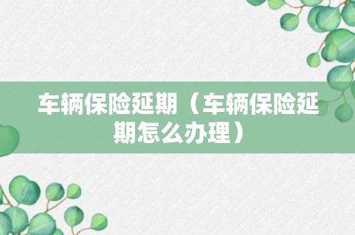 车辆保险延期（车辆保险延期怎么办理）