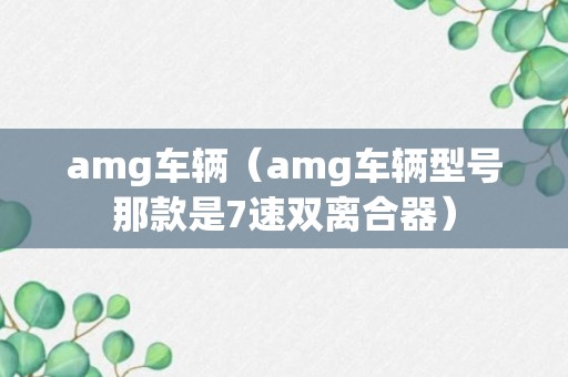 amg车辆（amg车辆型号那款是7速双离合器）