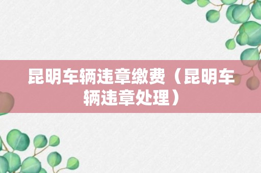 昆明车辆违章缴费（昆明车辆违章处理）