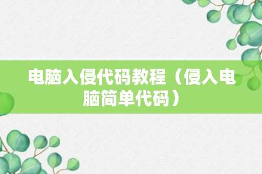 电脑入侵代码教程（侵入电脑简单代码）