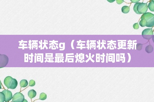 车辆状态g（车辆状态更新时间是最后熄火时间吗）