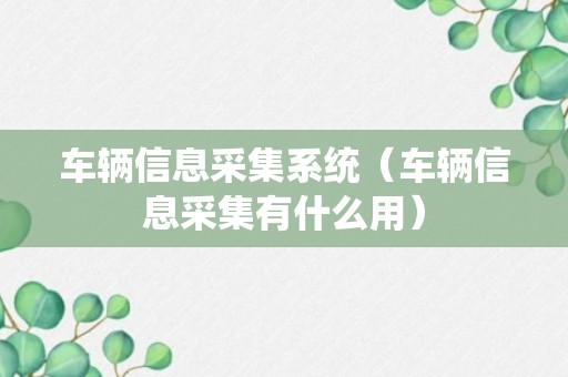 车辆信息采集系统（车辆信息采集有什么用）