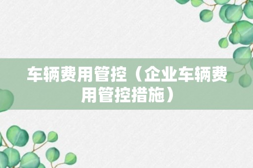 车辆费用管控（企业车辆费用管控措施）