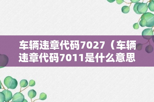 车辆违章代码7027（车辆违章代码7011是什么意思）