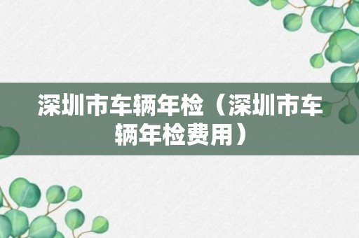 深圳市车辆年检（深圳市车辆年检费用）