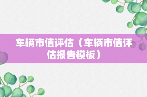 车辆市值评估（车辆市值评估报告模板）