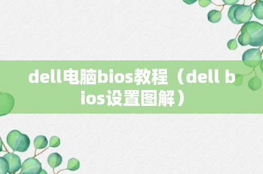 dell电脑bios教程（dell bios设置图解）