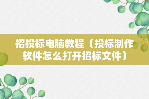 招投标电脑教程（投标制作软件怎么打开招标文件）