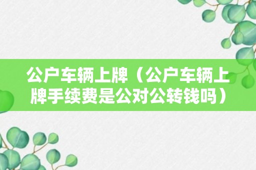 公户车辆上牌（公户车辆上牌手续费是公对公转钱吗）