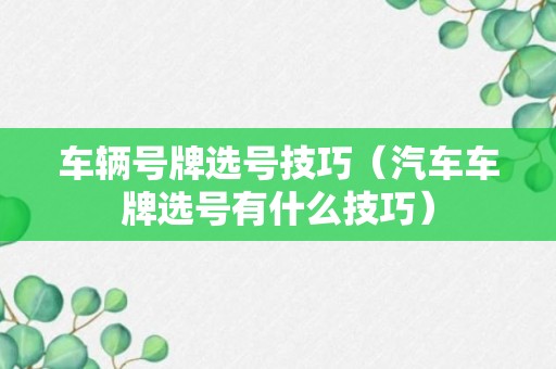 车辆号牌选号技巧（汽车车牌选号有什么技巧）