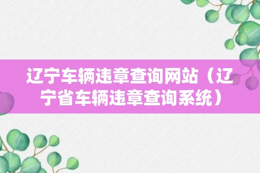 辽宁车辆违章查询网站（辽宁省车辆违章查询系统）