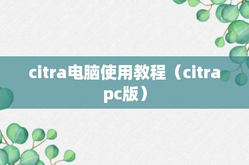 citra电脑使用教程（citrapc版）