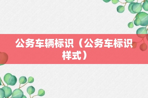 公务车辆标识（公务车标识样式）