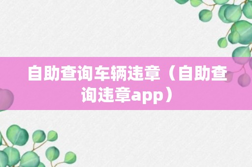 自助查询车辆违章（自助查询违章app）