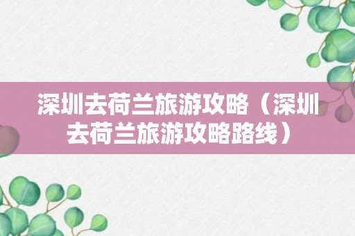 深圳去荷兰旅游攻略（深圳去荷兰旅游攻略路线）