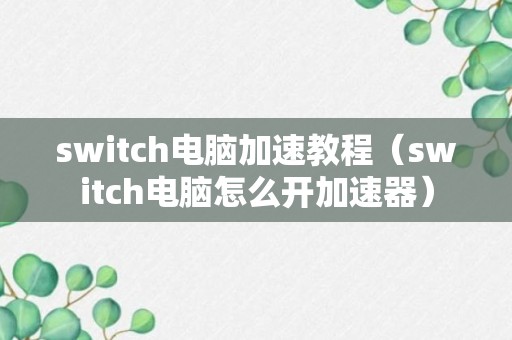 switch电脑加速教程（switch电脑怎么开加速器）